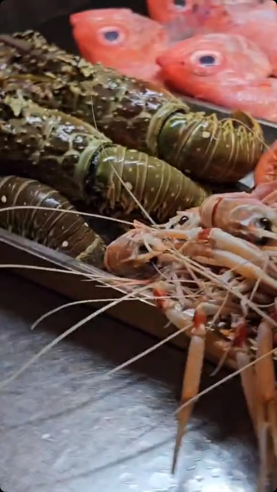 Sapori di Mare — photo 22