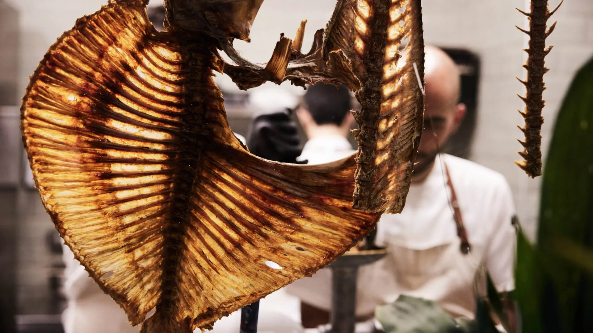 TURK FATİH TUTAK — kitchen