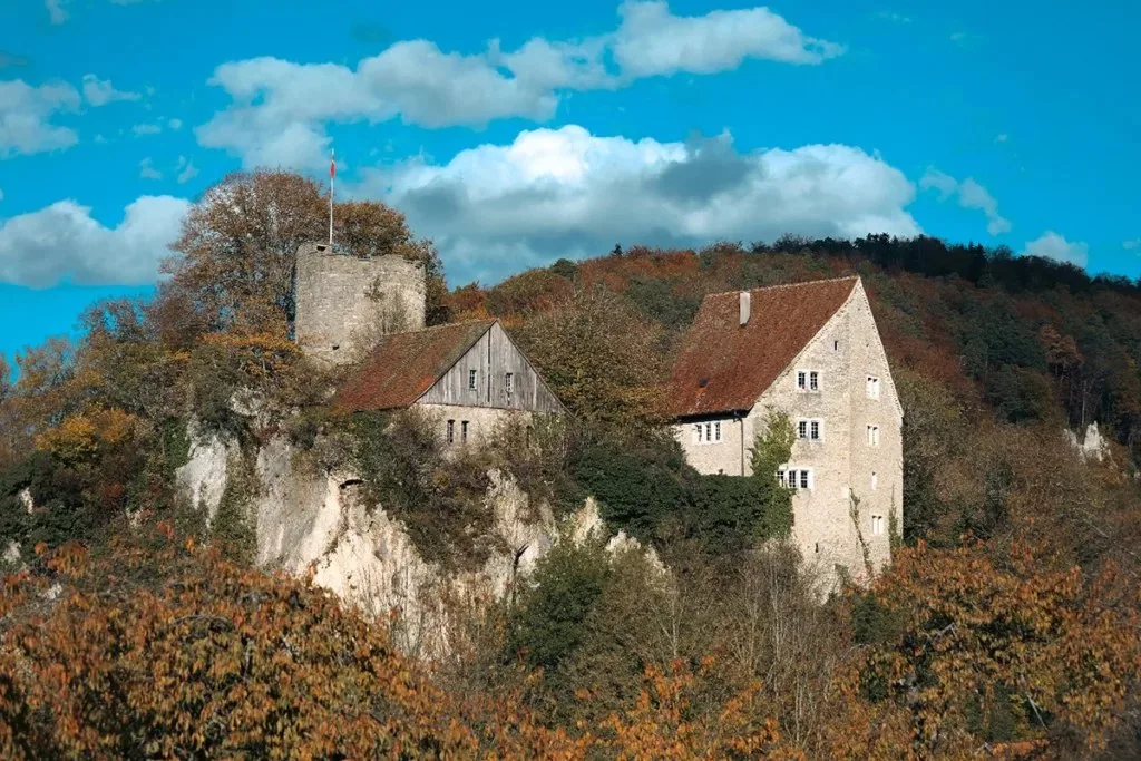 Château de Pleujouse — photo 18