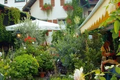 Kininger’s Hirsch — photo 17