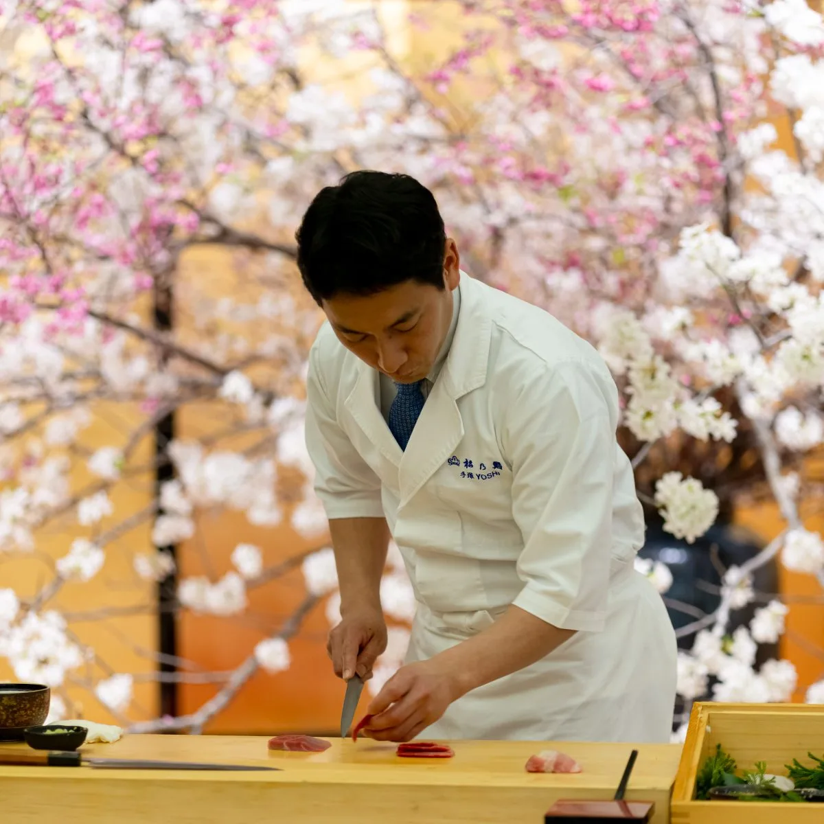 Matsunozushi — photo 43