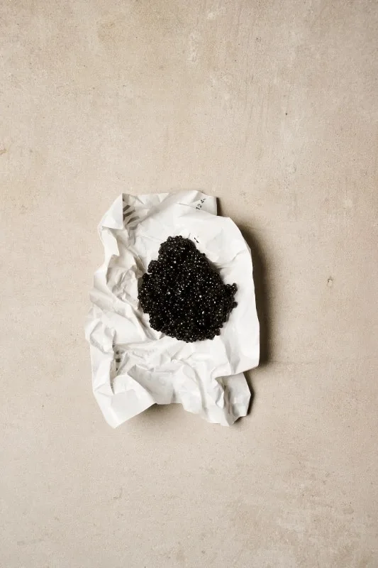 Frisk Fisk — photo 17
