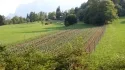 Agritur Calvola — photo 16