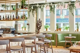 Farmacy — photo 8