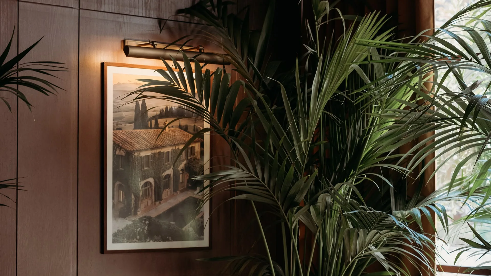 Esca — photo 10