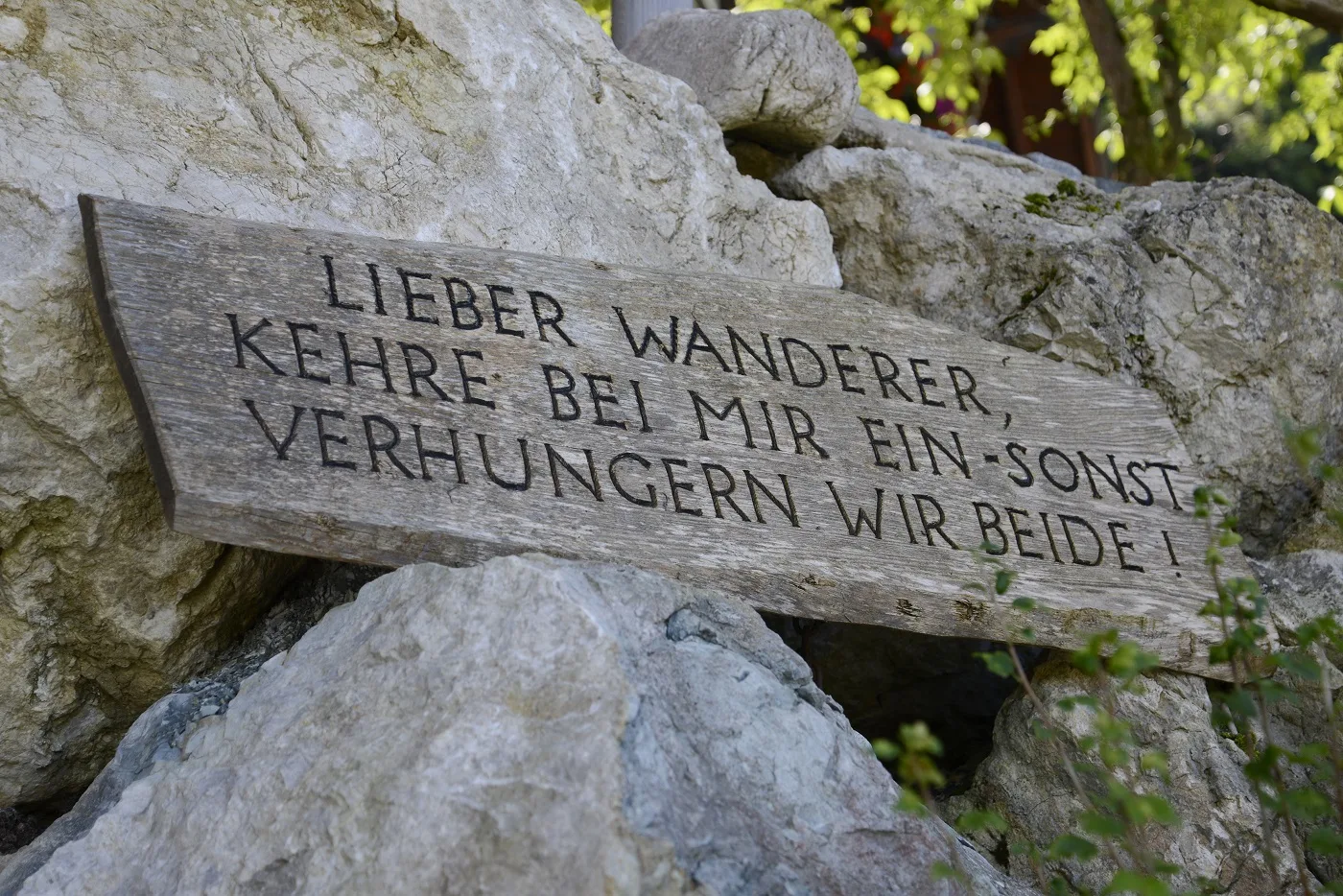 Berggasthof Hotel Duftbräu — photo 70
