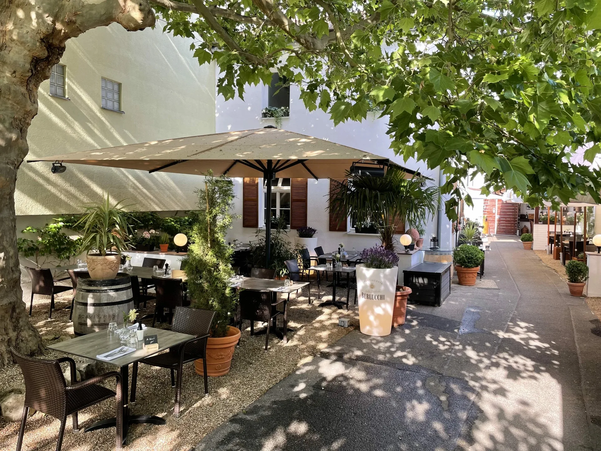Toscanino Trattoria &amp; Vinothek — photo 50