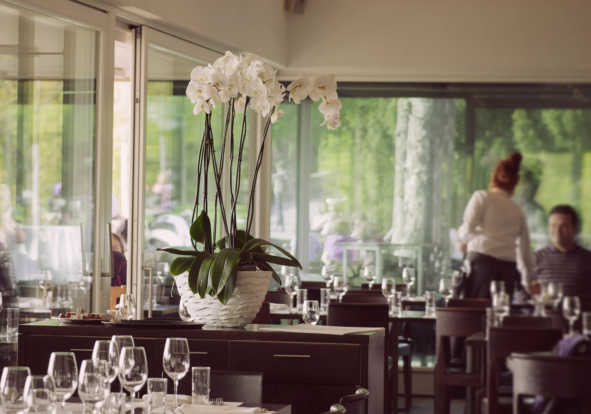 Restaurant Rosengarten — photo 9