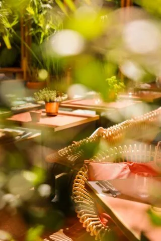 Bloom Garden — photo 8