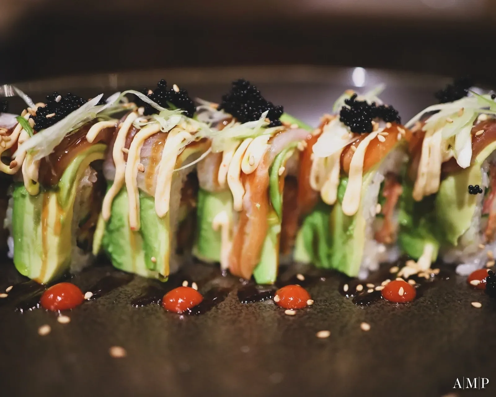 Toro — photo 14