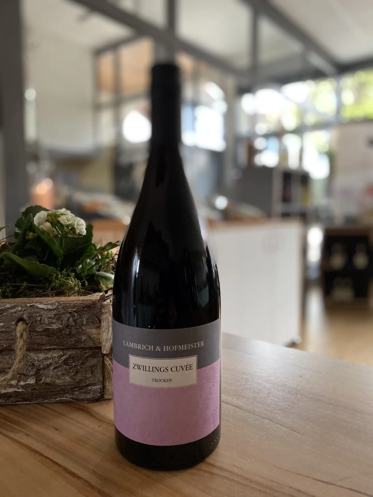 Weinstube Moiakäfer — photo 25