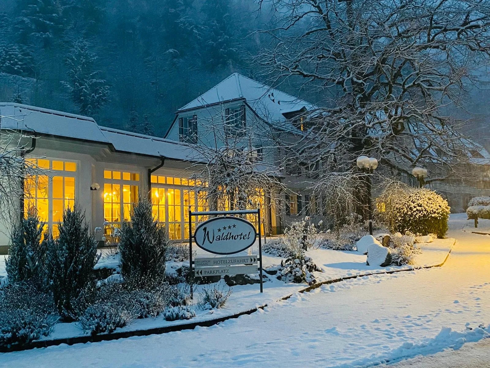 Waldhotel Bad Sulzburg — photo 28