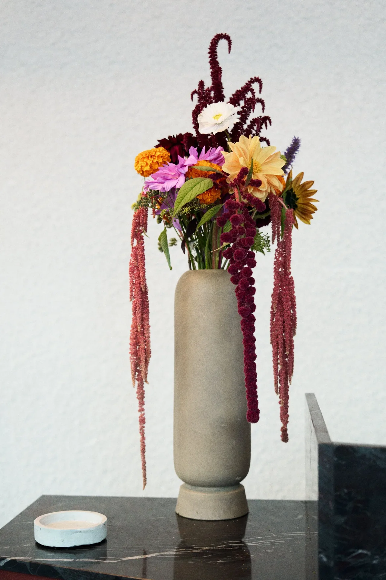 Remi — photo 12