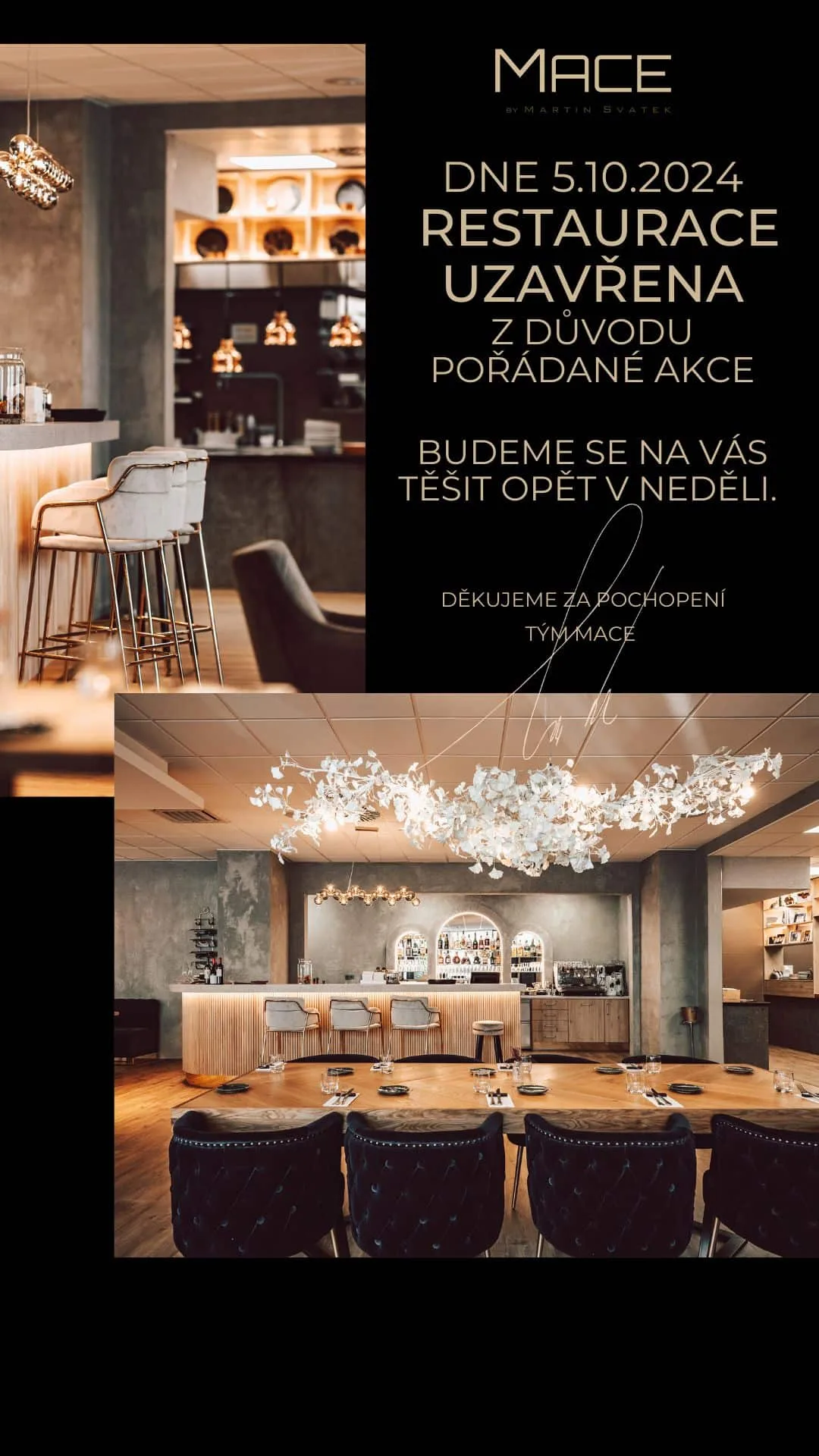 Mace restaurant — photo 51