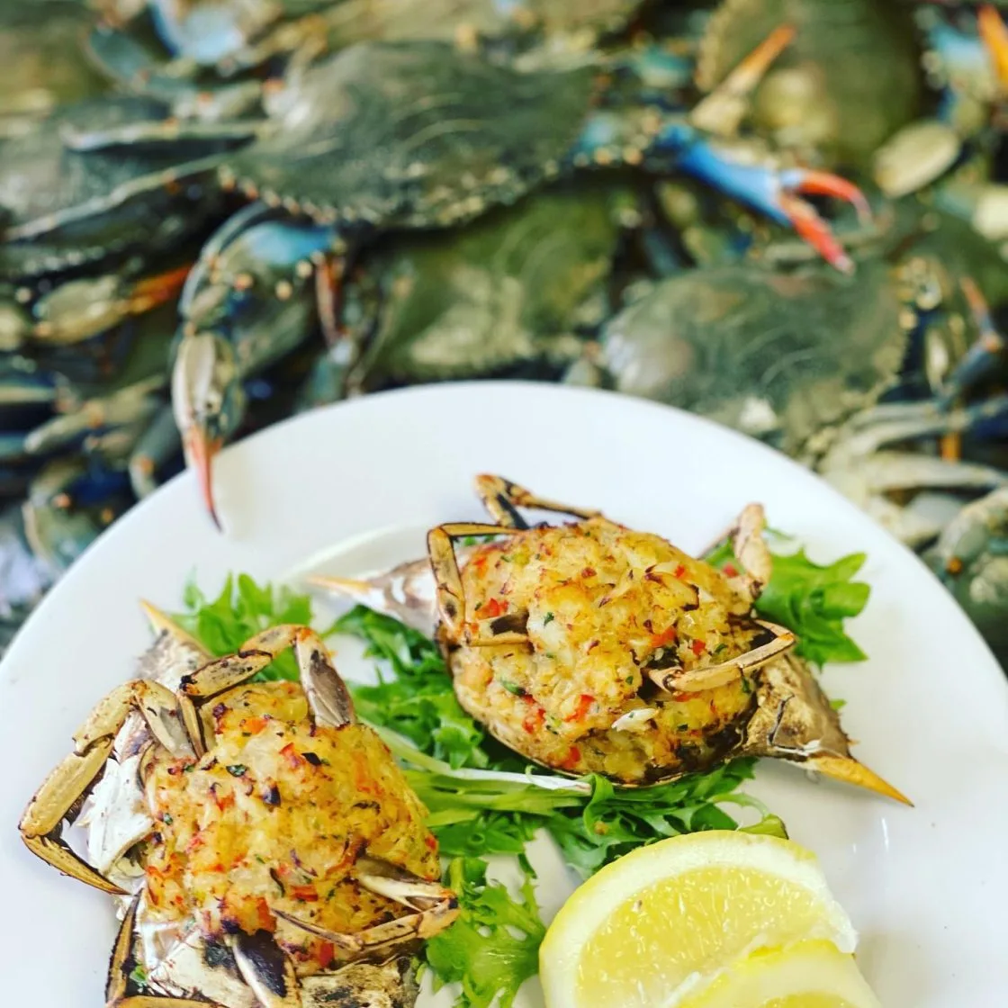 Matunuck Oyster Bar — photo 66