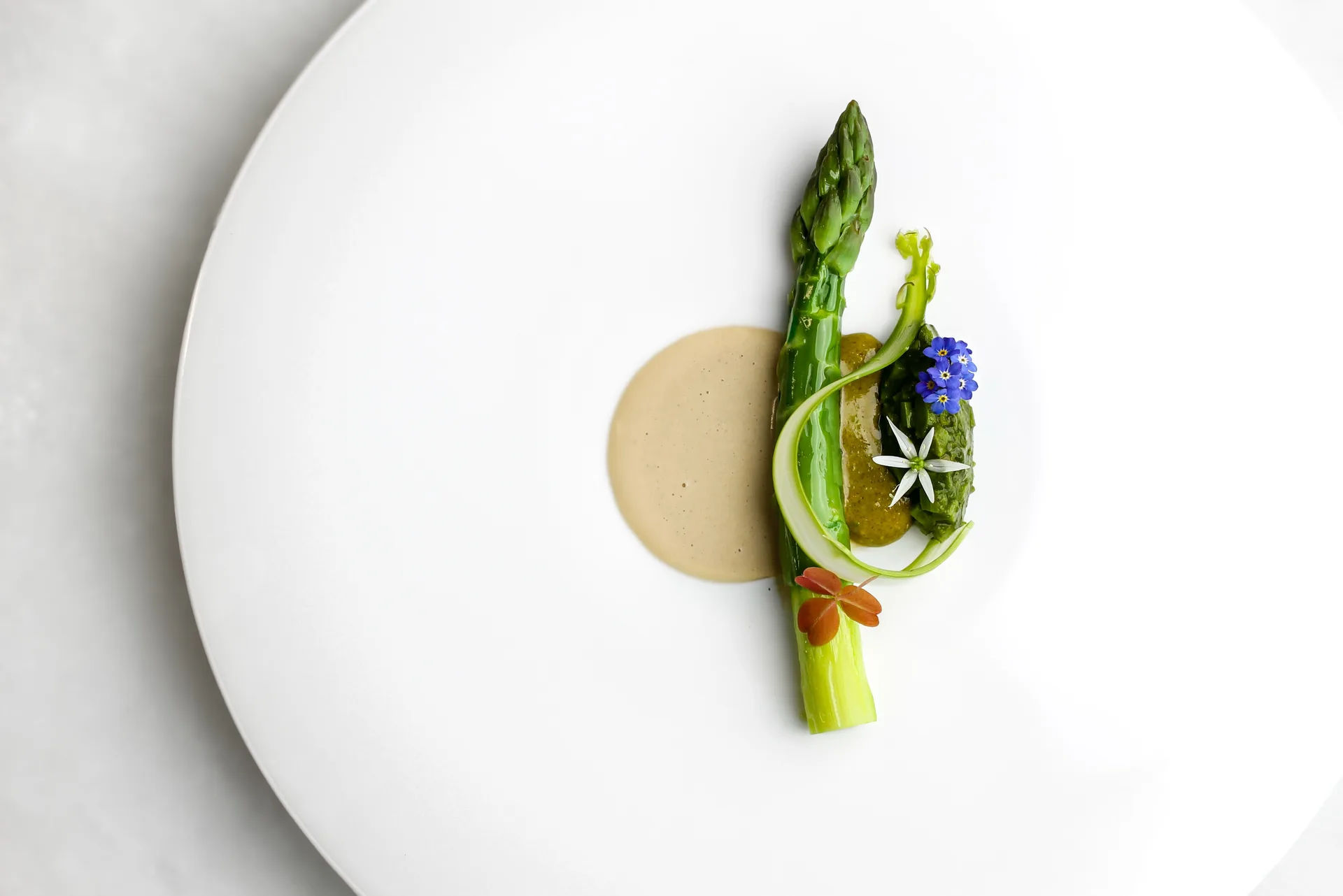 Restaurant Papilio — photo 40
