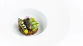 Petrus — photo 4