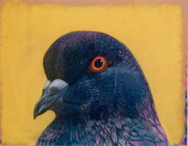 Le Pigeon Noir, Brussels