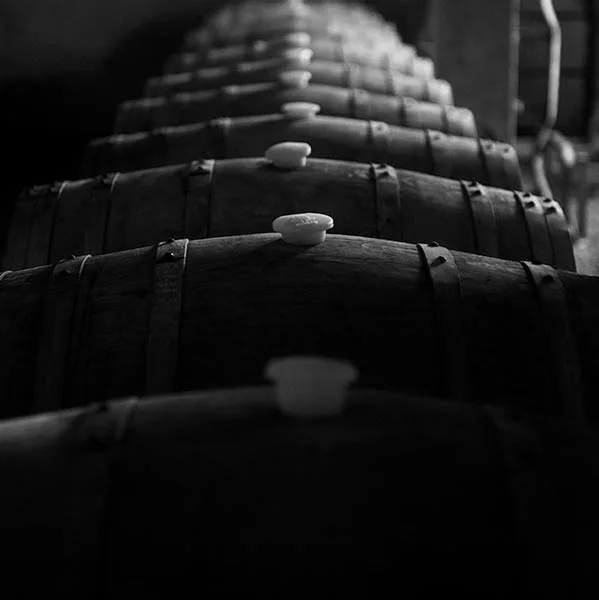 Stefano Lubiana Wines & Osteria, Granton
