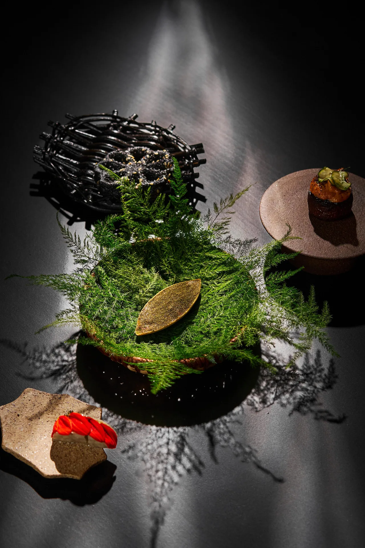 Celera — photo 8