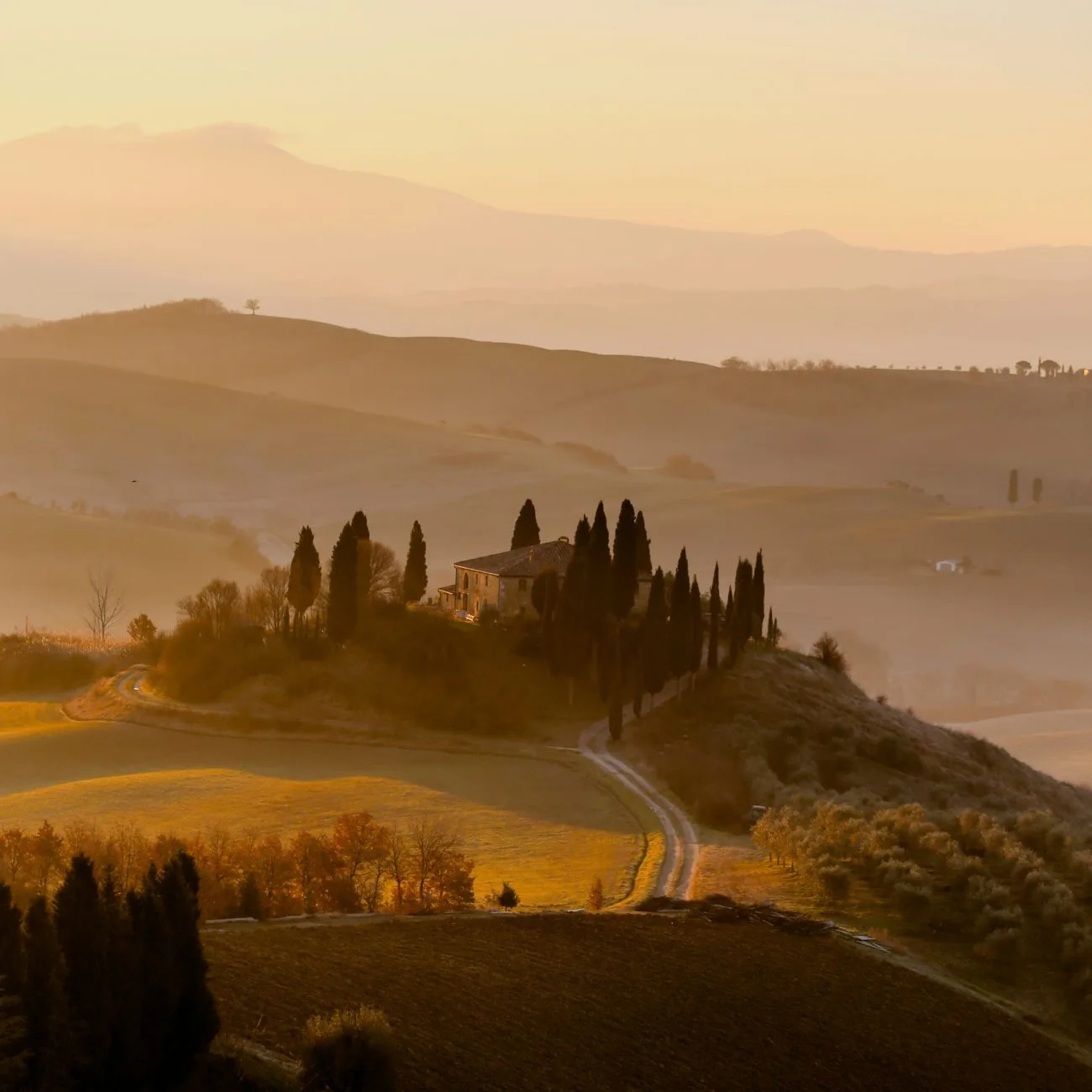 La Grappe d'Or — atmosphere