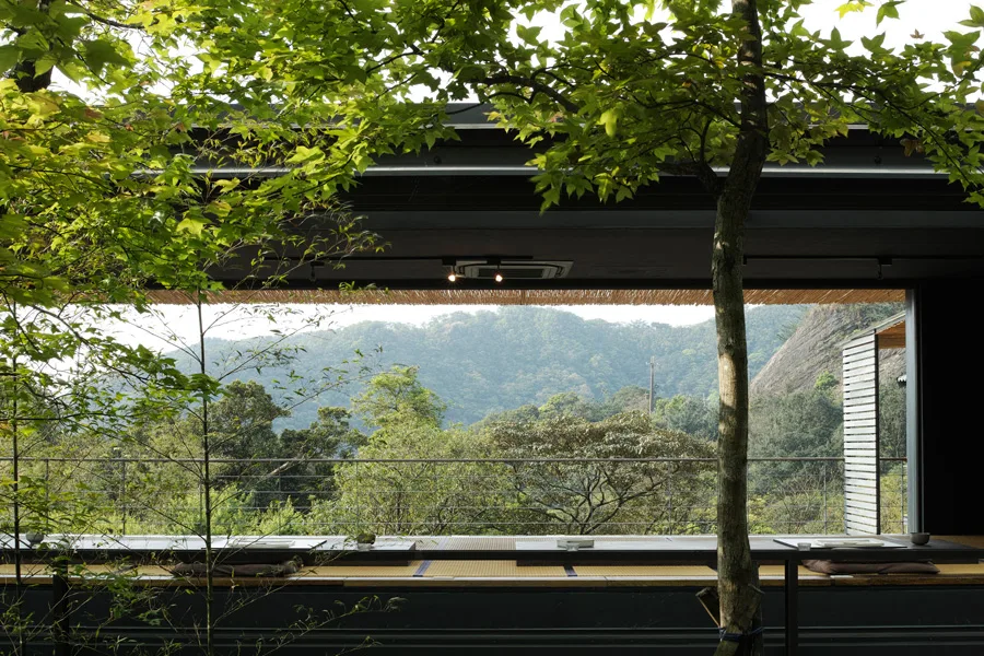 Shi Yang — photo 11