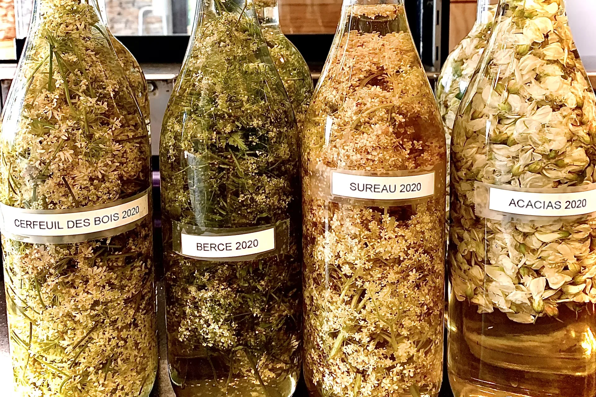 Omija, Nantes