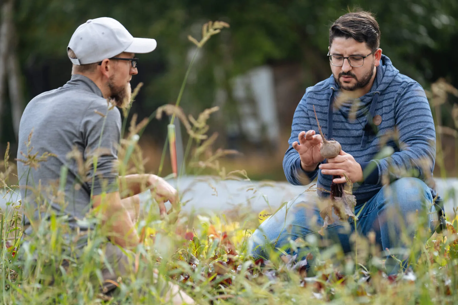 Esplanade — kitchen