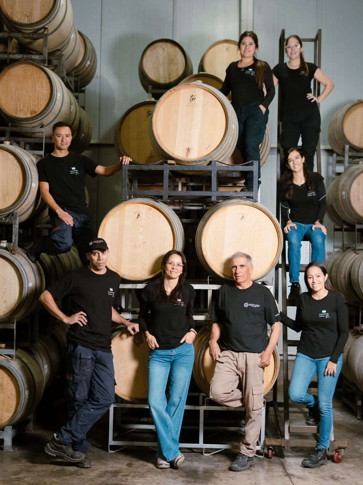 Martino Wines — photo 14