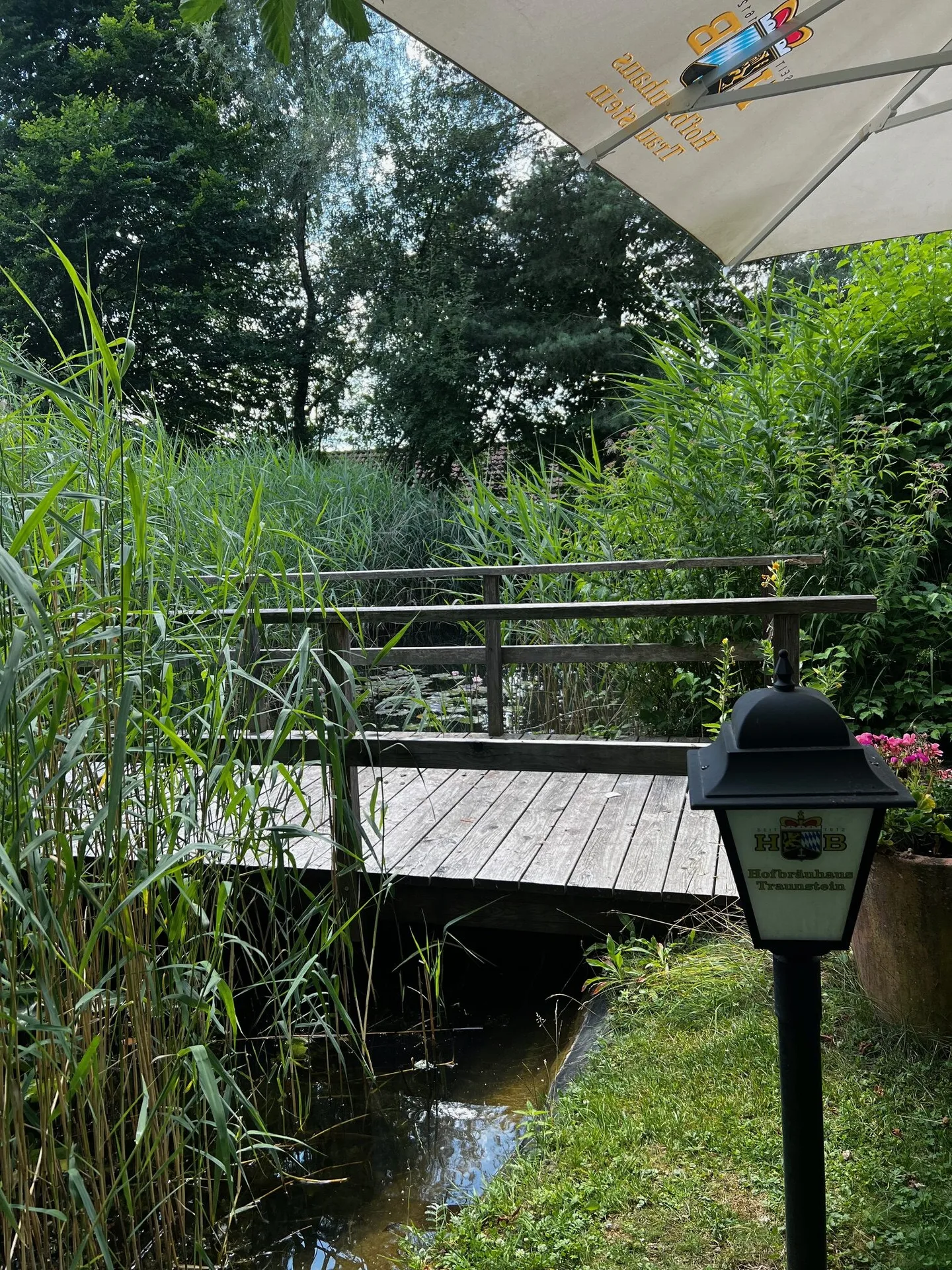 Restaurant Vivarium — photo 38