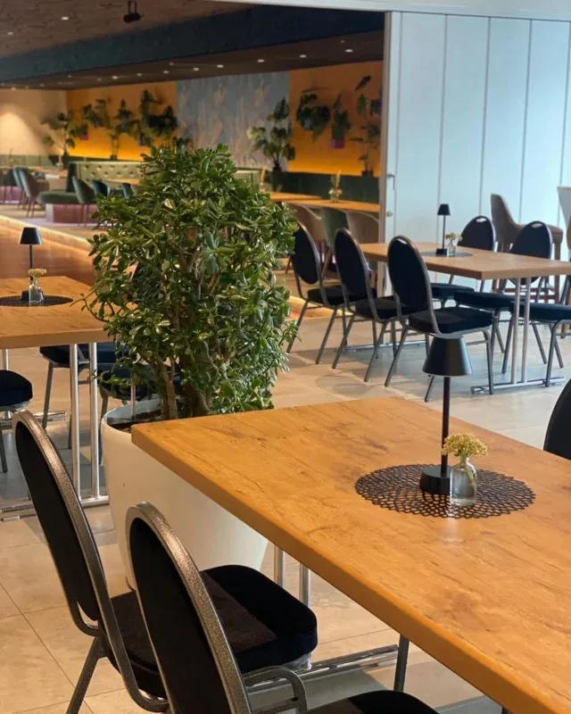 Landhotel Küffner — photo 17