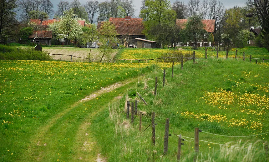 Oberża Pod Psem — photo 64