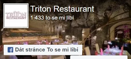 TRITON Restaurant — photo 25