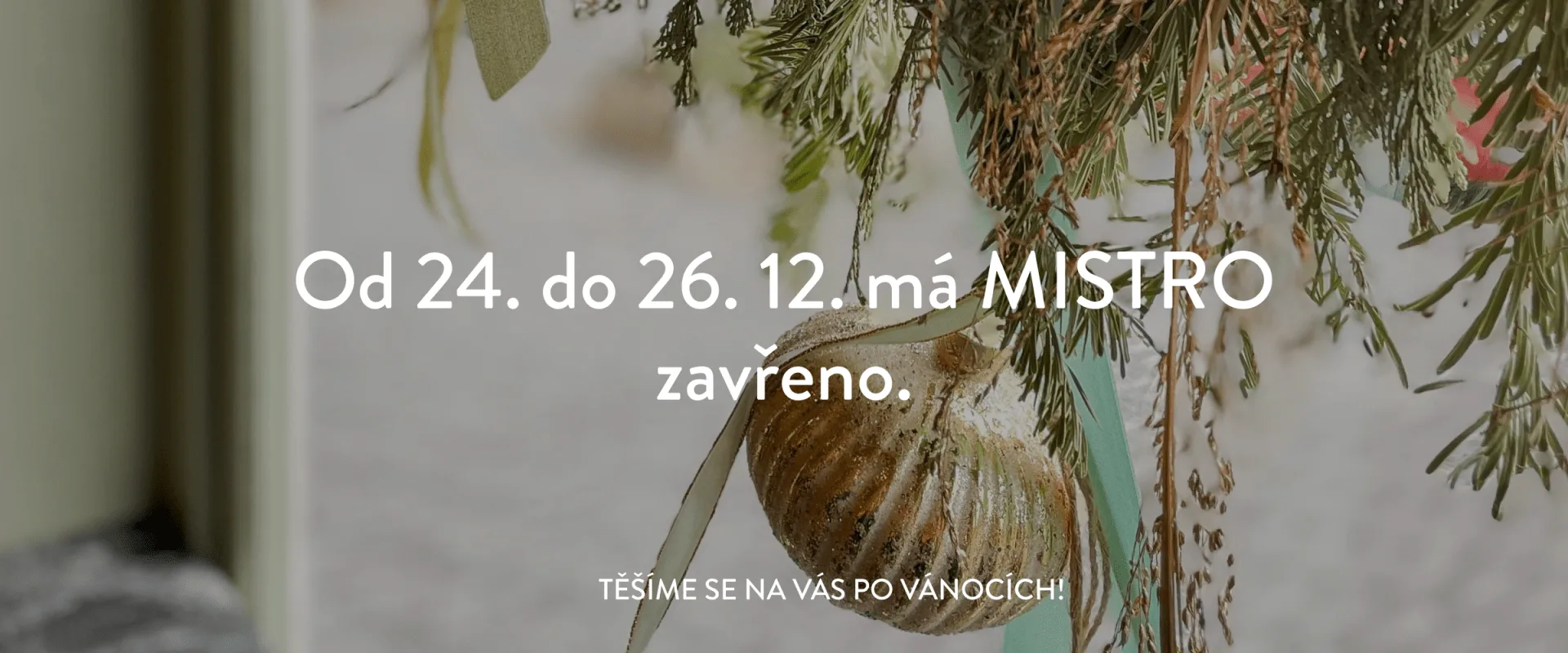 MISTRO — photo 24