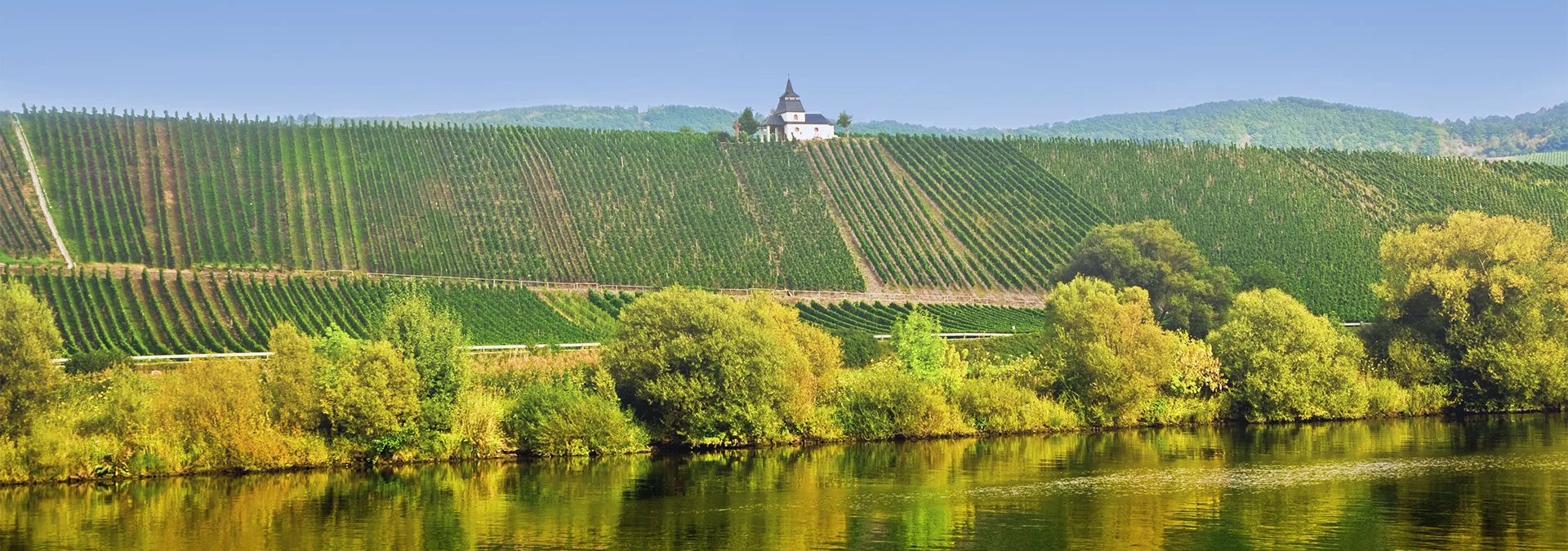 Wein- und Tafelhaus — photo 18
