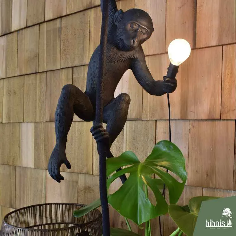 Bibois — photo 9