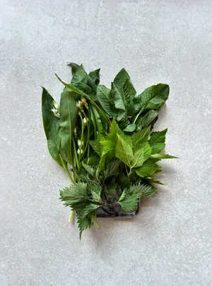 Where The Light Gets In — food