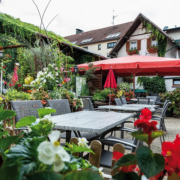 Kininger’s Hirsch — photo 49