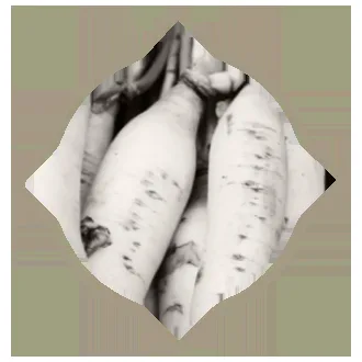 Grok — photo 10