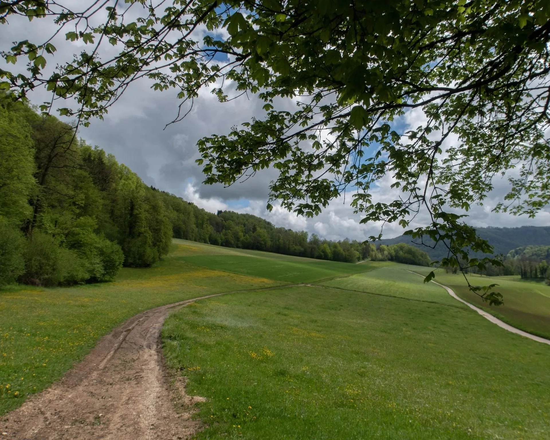 Auberge du Mouton — photo 19