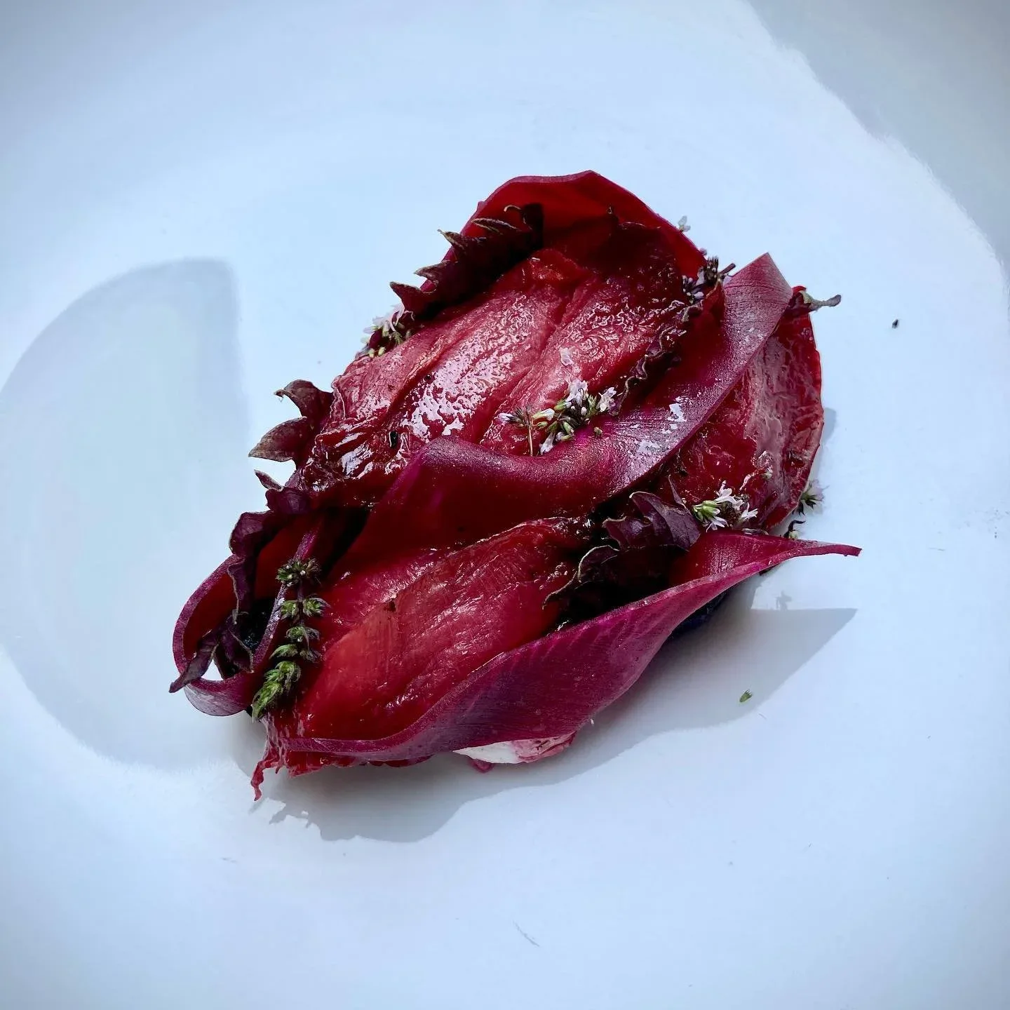 ALBUM — photo 10