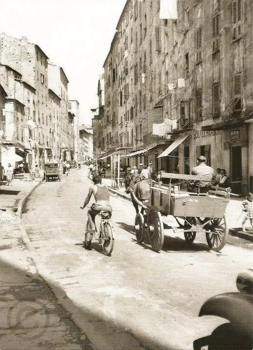 La Terrasse du Fesch — photo 7