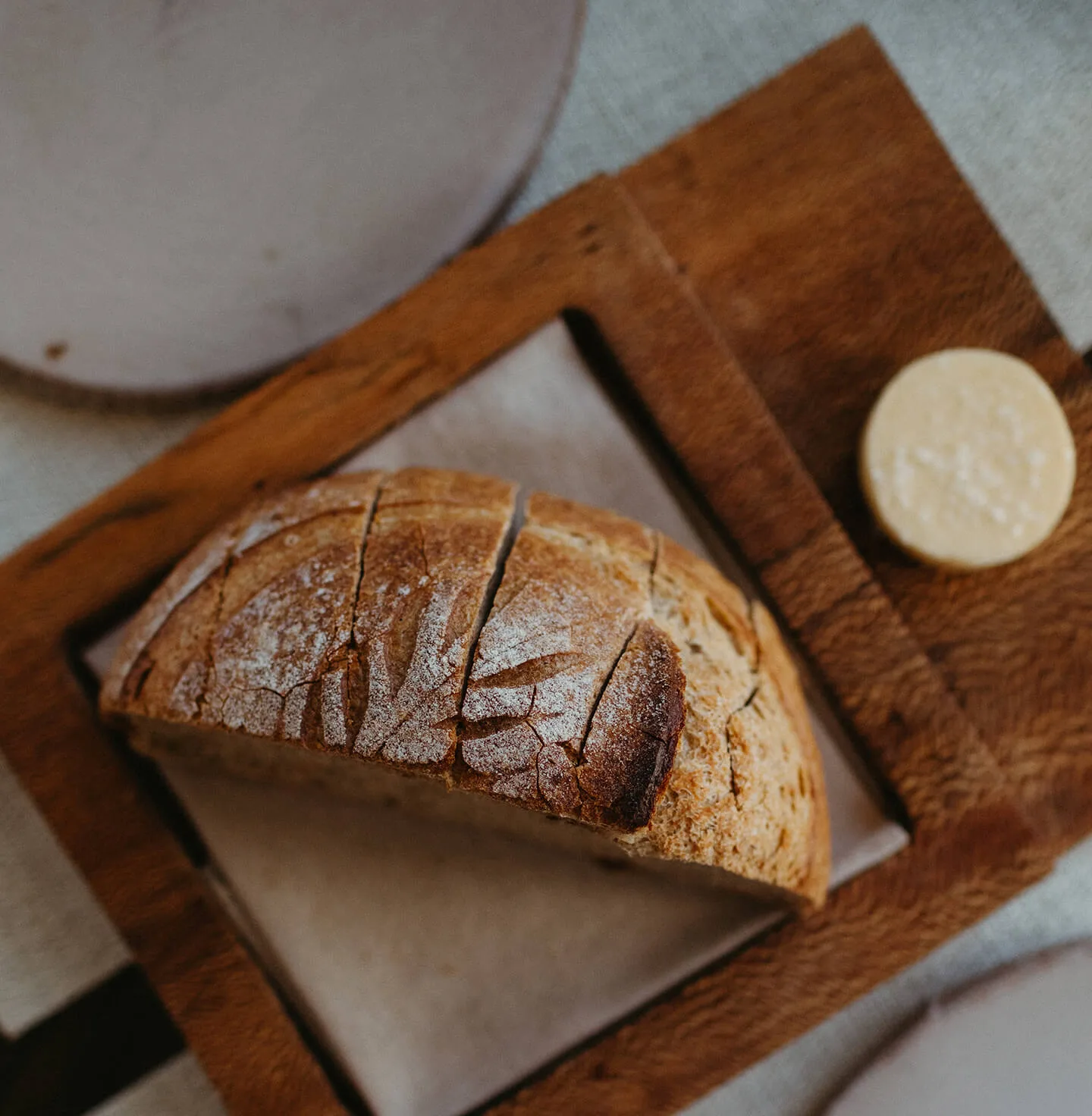 Olivella — photo 6