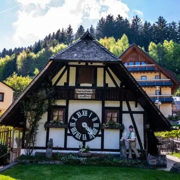 Restaurant Zum Ochsen — photo 7