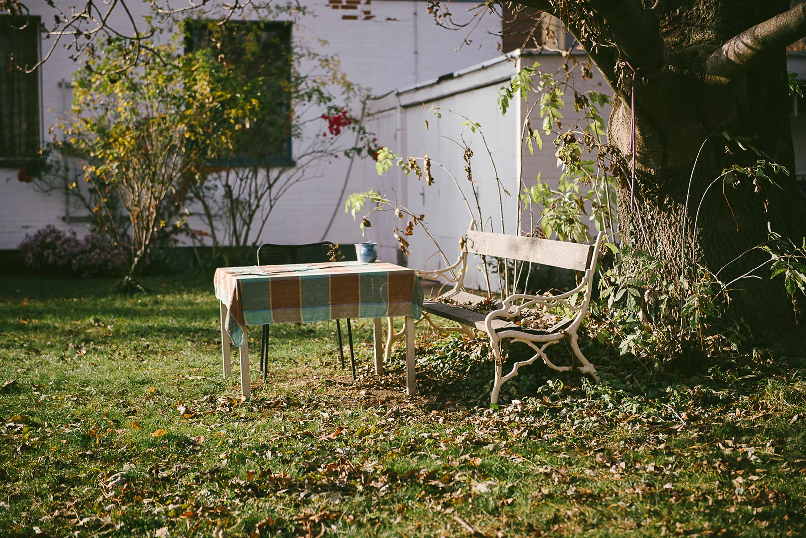 Die Schwalbe — photo 15