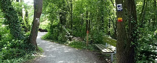 Flachshof — photo 13